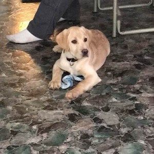 Meet your Posher, Ann marie